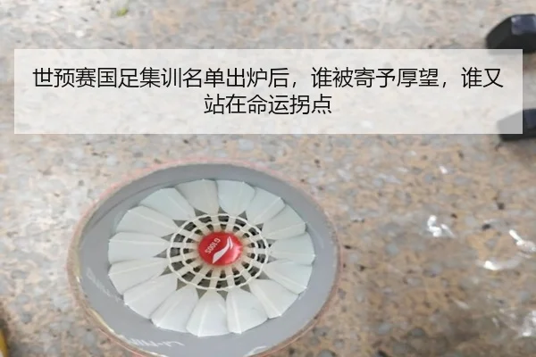 世预赛国足集训名单出炉后，谁被寄予厚望，谁又站在命运拐点（Kaiyuan）